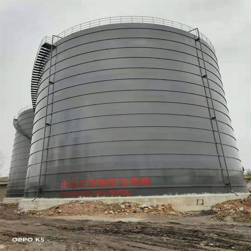 原阳3万吨大型钢板库