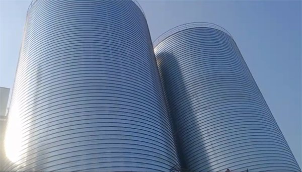 原阳2座混凝土高架卷板仓